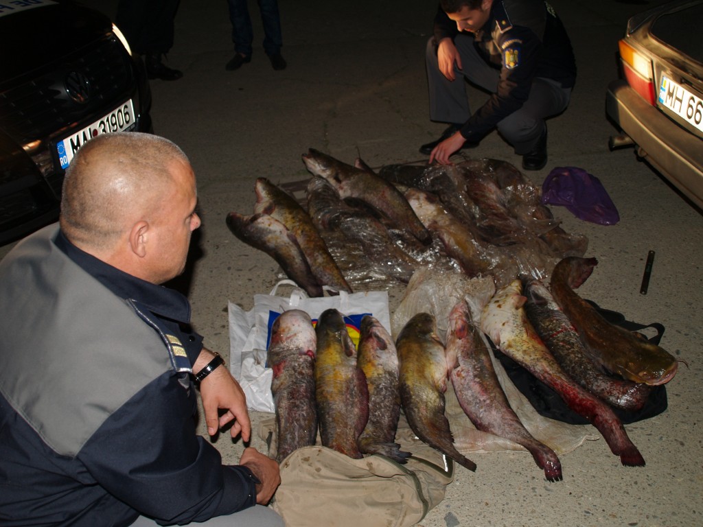 Zeci de persoane din judet s-au ales cu amenzi pentru pescuit ilegal, iar o persoana cu dosar penal