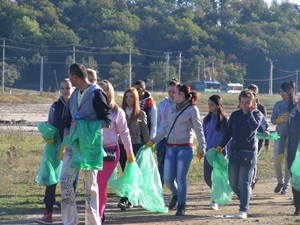 ecologizare