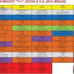 program meceff 2015