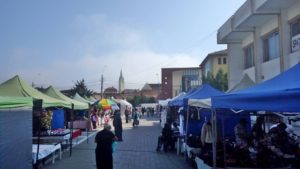 festivalul berii 2016