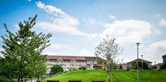 Peste 250 de arbori și arbuști plantați în zonele verzi ale Sibiului
