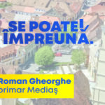 gheorghe roman banner mare