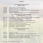 program Sarbatoarea Tubrozelor