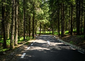 Drumul vechi din Păltiniș, redat circulației înnoit