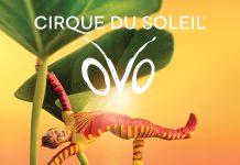 Cirque du Soleil – OVO la Cluj-Napoca in 2026!