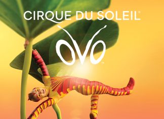 Cirque du Soleil – OVO la Cluj-Napoca in 2026!