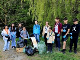 Lecție de responsabilitate: cercetașii Turre Pitz Mediaș au curățat pădurea Greweln