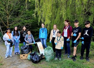 Lecție de responsabilitate: cercetașii Turre Pitz Mediaș au curățat pădurea Greweln