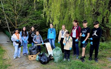 Lecție de responsabilitate: cercetașii Turre Pitz Mediaș au curățat pădurea Greweln