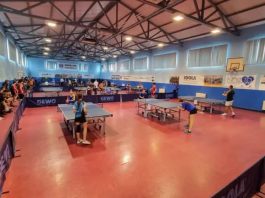 CSM Mediaș caută viitoarele campioane la tenis de masă. Se organizează selecție pentru fete de până la 7 ani
