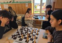 CSM Mediaș, 15 podiumuri la QuChess Festival – Ziua Mondială a Educației